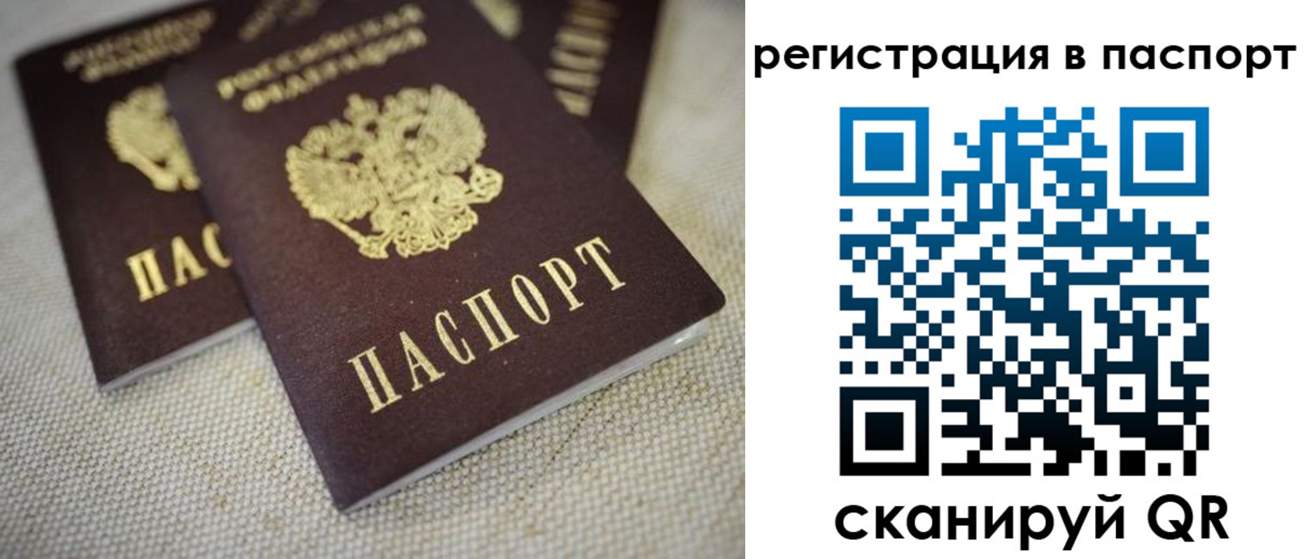 прописка гарантия в Рудне
